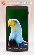 Eagle ภาพหน้าจอ 6
