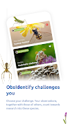 ObsIdentify screenshot 4