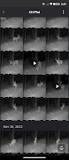 Spartan Camera Management screenshot 5