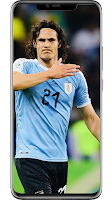 Cavani Wallpapers imagem de tela 4