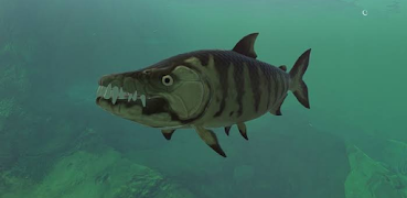 Fish Feed And Grow Tutorial Screenshot 6