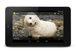 Focus for reddit screenshot 2