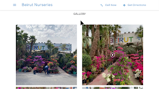 5 Schermata Beirut Nurseries