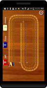 Poster Cribbage Pegboard