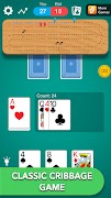 Poster Cribbage *
