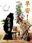 早安中午好晚安祝愿信息爱 gifs ảnh chụp màn hình 7