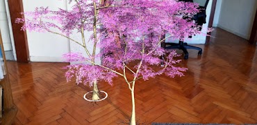 Lapacheando AR 截图 3