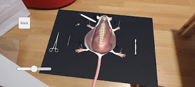 Mouse Dissection AR screenshot 4