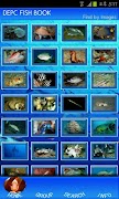 DEPC Fish Book Screenshot 1