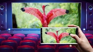 برنامه‌نما روژکتور- بازیگران به تلویزیون. عکس از صفحه