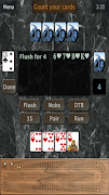 پوستر GrassGames' Cribbage
