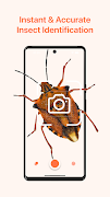 Insect Identifier App AI 海报