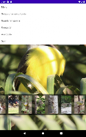 Aves Fondos HD screenshot 4