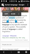 Afrikaans Dictionary скриншот 1