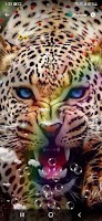 Leopard Wallpaper-poster