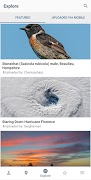 Wikimedia Commons screenshot 4