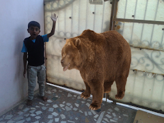 Animals Camera Frames скриншот 3