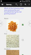 CSEntry CSPro Data Entry 截图 5