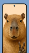 Capybara Wallpapers HD تصوير الشاشة 3
