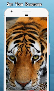 Tiger Sounds Ringtone screenshot 3