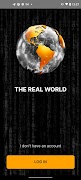 The Real World পোস্টার