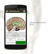 Anatomy Quiz 截圖 2