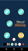 Visual Memory 海报