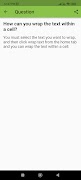 Microsoft Excel Interview screenshot 2