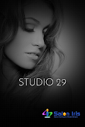 Studio 29 постер