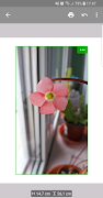 Print adjuster poster
