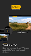 Safari TV poster