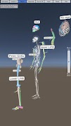 برنامه‌نما Skeletal System عکس از صفحه