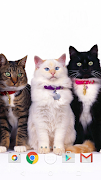 Cute Cats screenshot 5