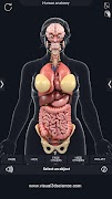Organs Anatomy Pro. syot layar 5