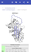 Immune system скриншот 3