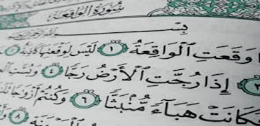 com.alwaqah screenshot 1