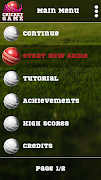 Blind Cricket screenshot 1
