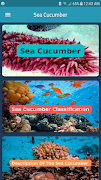 Sea Cucumber screenshot 2