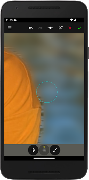 Portrait Mode screenshot 4