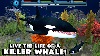 Orca Simulator screenshot 6