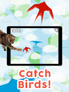 Games for Cats! screenshot 2