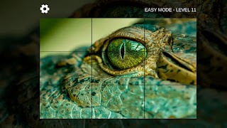 پوستر Image Puzzle LF