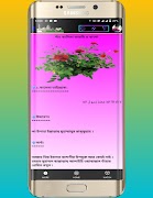 SA নামাজ শিক্ষা বই স্ক্রিনশট 7