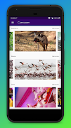 APP2710 截图 1