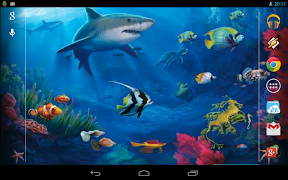 برنامه‌نما Interactive Shark عکس از صفحه