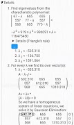 Matrix Calculator | solution Ekran Görüntüsü 5