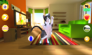 Talking Devon Rex پوسٹر