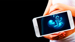 Filter Xray Scanner Editor penulis hantaran