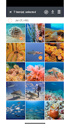 SeaLife Micro 3+ Android App ภาพหน้าจอ 1