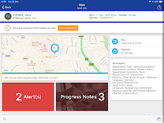 Servelec screenshot 6